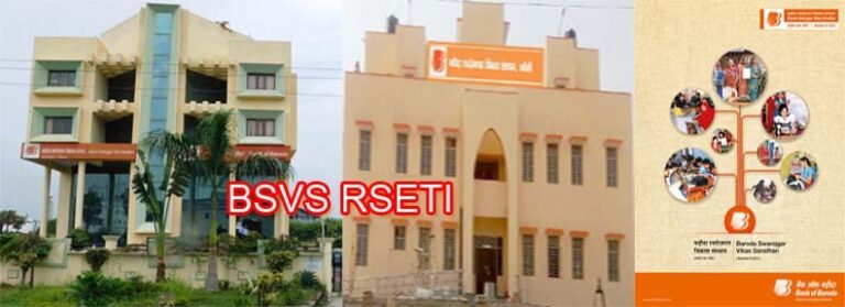 baroda swarojgar vikash sansthan