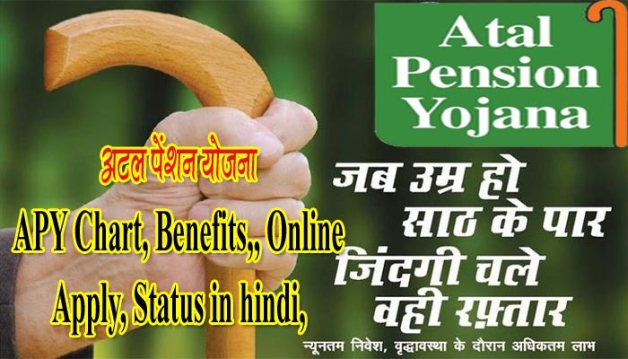 Atal Pension Yojana in Hindi