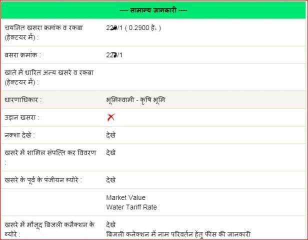 खसरा विवरण