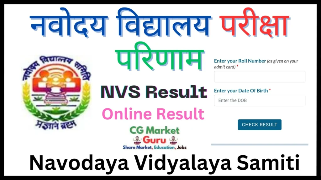 NVS Result 2024